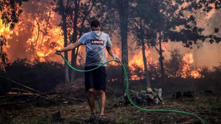 Incêndio em Portugal, pelo Expresso