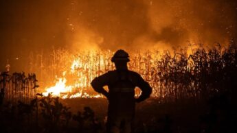 Bombeiro perante incêndio