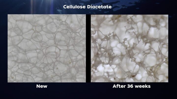 A microscopic image of the modified CDA before and after 36 weeks in seawater. Credit: Bryan James, Woods Hole Oceanographic Institution