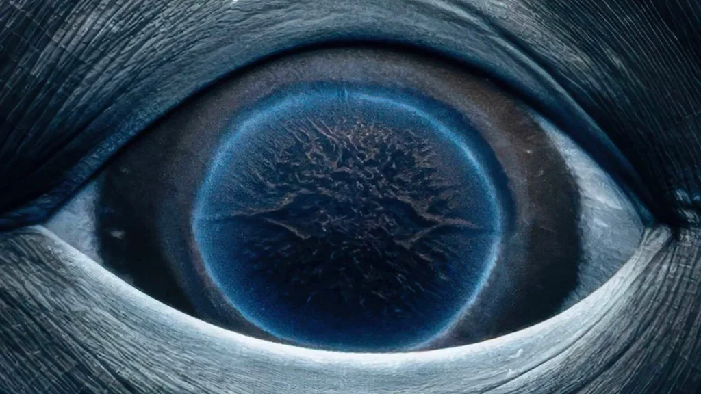 Close-up incrível ao olho da gigante “Sweet Girl”