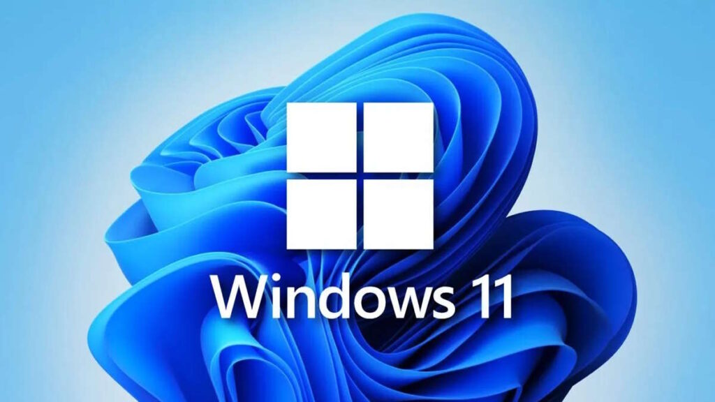 Windows 11 Microsoft dados novembro