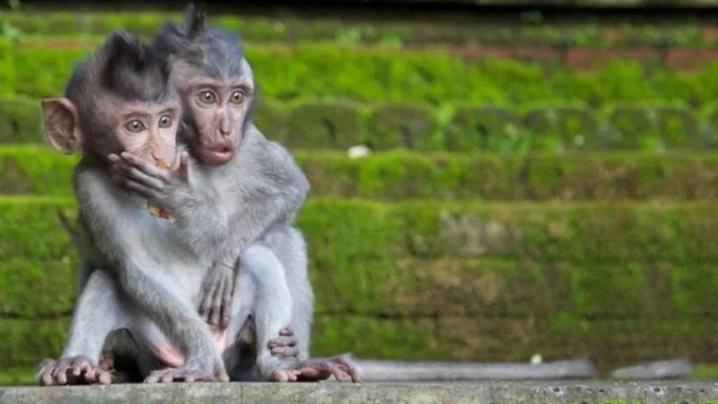 E Porque Hoje é Sexta
