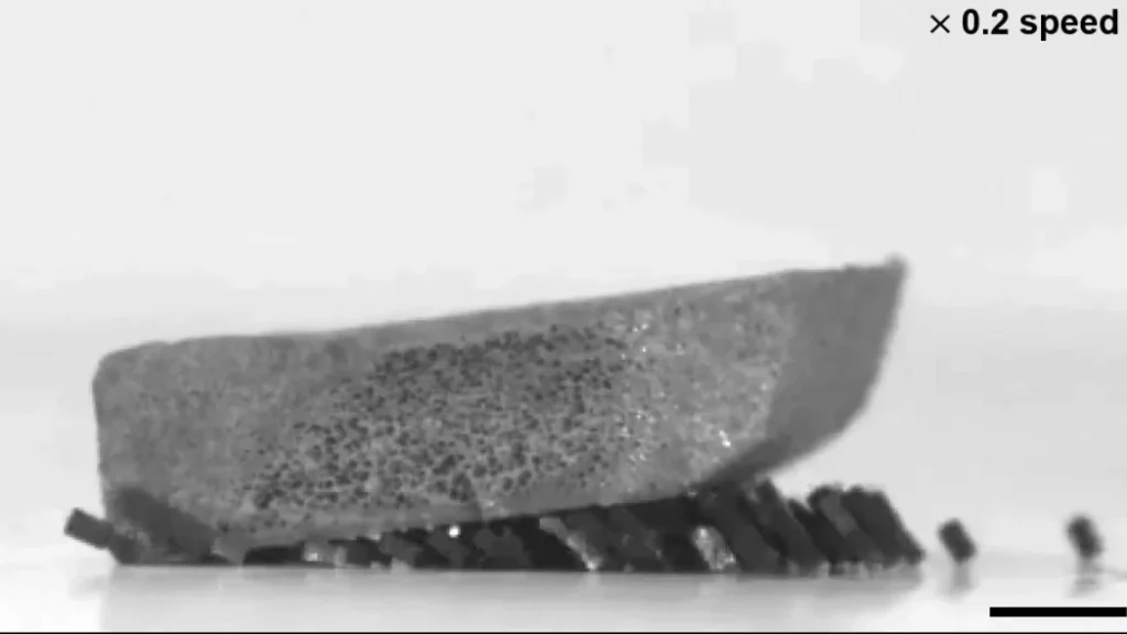 Enxames de robôs “tipo formigas” levantam objetos pesados com uma força hercúlea