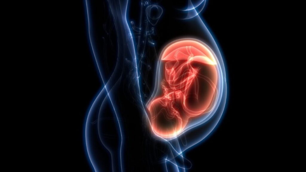 E se o risco de desenvolver cancro já estivesse determinado antes do nascimento?