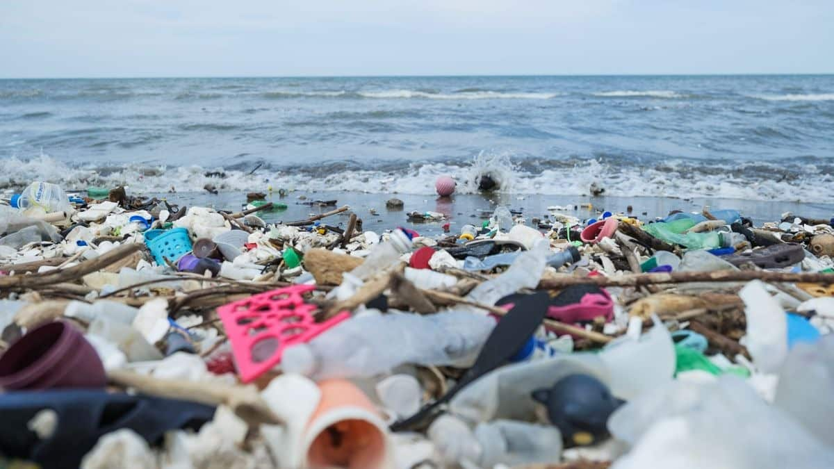 Cientistas sugerem que as correntes podem ajudar a limpar o lixo do mar. Como?