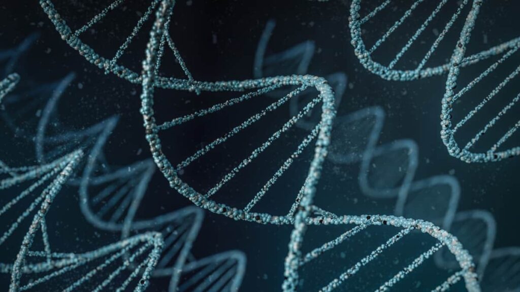 AlphaGenome: nova IA da Google prevê doenças através do ADN