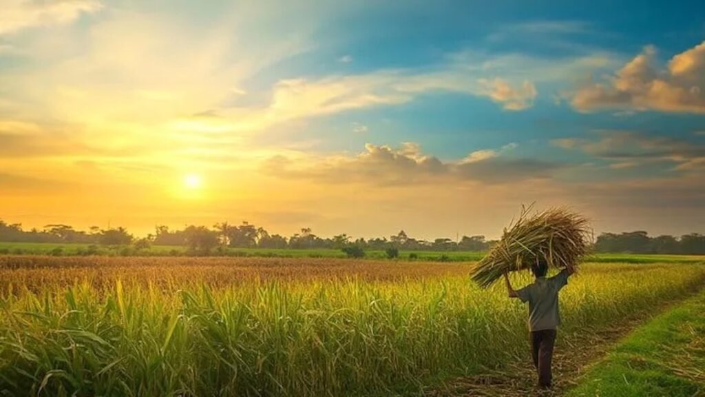 A Ordem Natural do Dinheiro: Como emerge o padrão do ouro