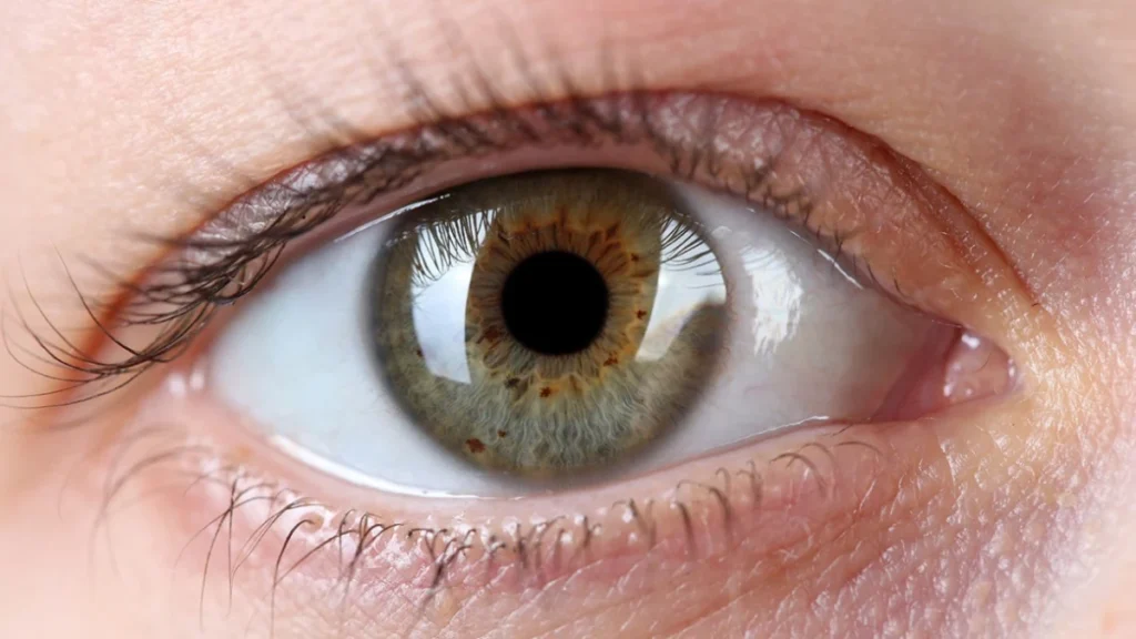 Exame oftalmológico “pode prever o risco de ataque cardíaco em 10 anos”, graças à IA