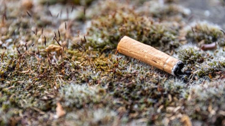 Beata de cigarro, a parte final de um cigarro depois de fumado, no chão, descartada