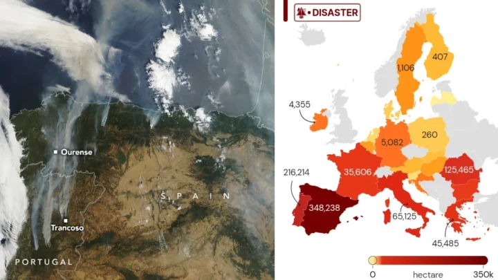 Ilustração do resultado dos incêndios na Europa