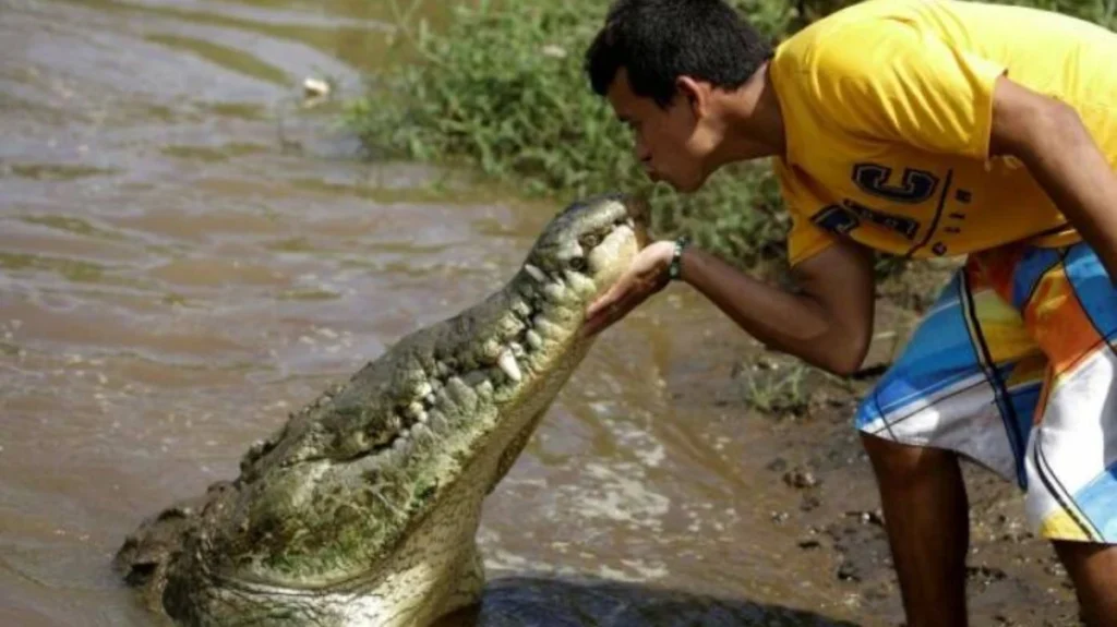 E Porque Hoje é Sexta