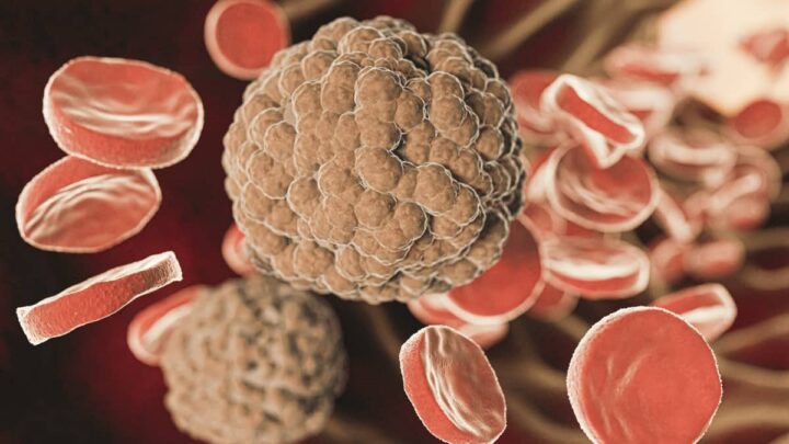 Representação de colesterol