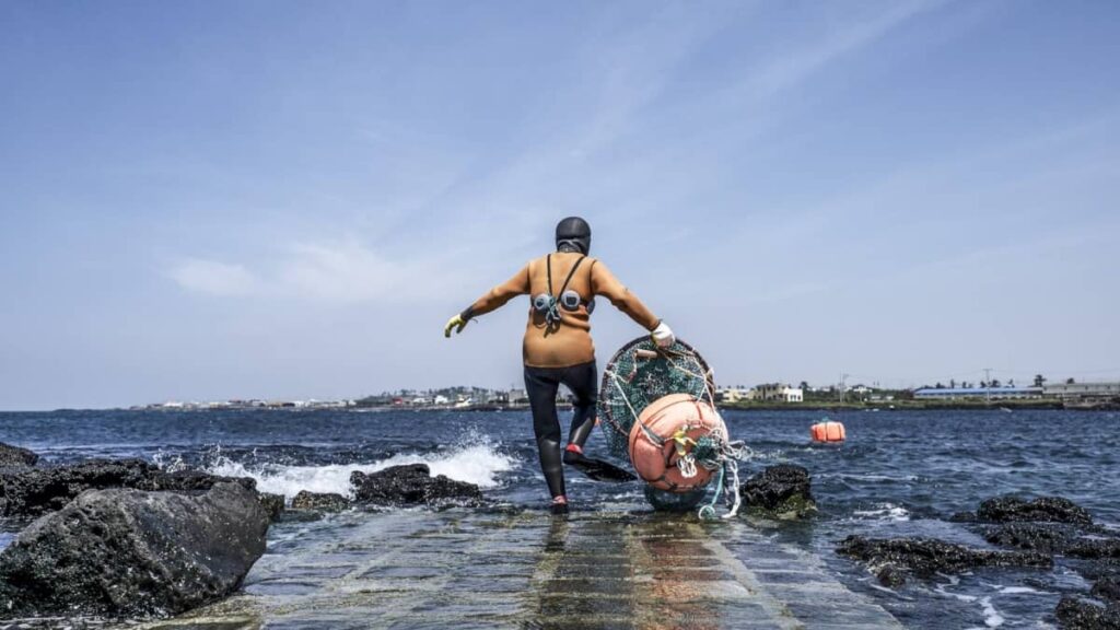 Mergulhadoras Haenyeo são “o mais próximo que se pode chegar de estudar uma sereia”