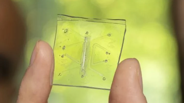 Imagem pulmão em chip