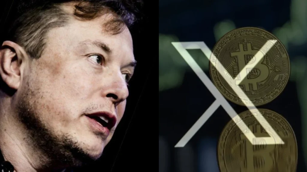 Funcionários do X foram corrompidos para reativar contas de burlões de criptomoedas