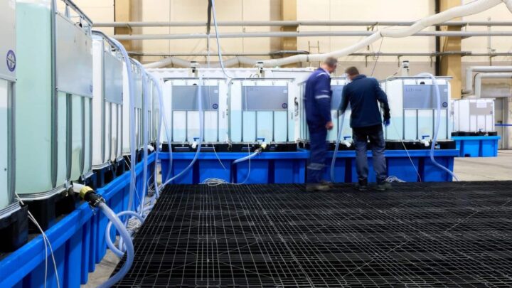 Instalações da Neptune Energy, uma importante empresa de petróleo e gás, que confirmou, recentemente, a descoberta de 43 milhões de toneladas de carbonato de lítio equivalente (em inglês, LCE), na região de Altmark, na Alemanha.