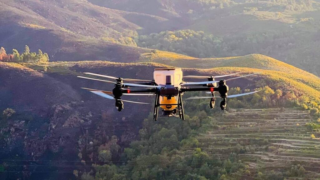Drone ajuda a espalhar sementes em serras queimadas pelos fogos, em Portugal
