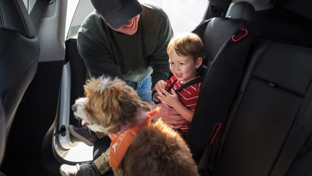 Com medo de que os filhos fiquem presos após um acidente, donos de Teslas pedem soluções