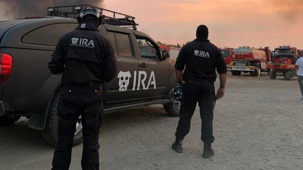 IMT dá o dito pelo não dito: IRA não pode usar sirenes e luzes em viaturas de resgate