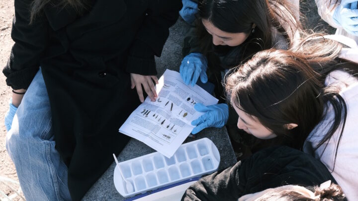 A Hyundai e a Rhode Island School of Design (RISD) celebram o sexto ano de cooperação em investigação com o objetivo de explorar a convergência entre biodesign e biomimética, práticas avançadas de arte e design, e o futuro da mobilidade a nível global.