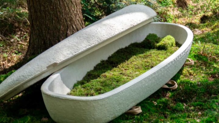 Caixão feito de cogumelos e biodegradável
