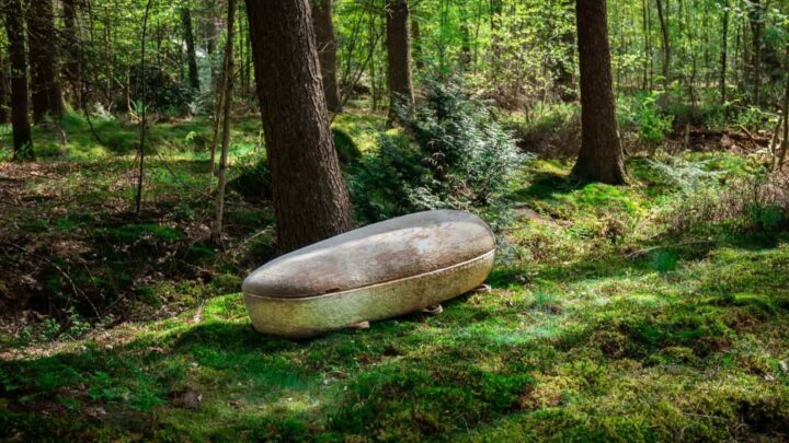 Caixão feito de cogumelos e biodegradável