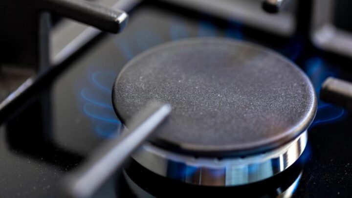 E-lar: candidaturas vão reabrir amanhã! Sejam dos primeiros