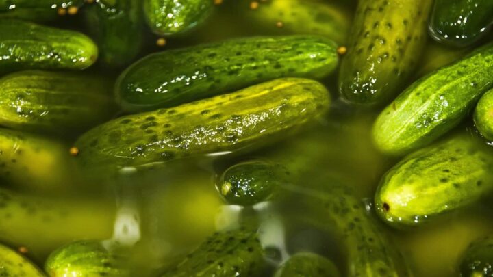 Pepino em pickle
