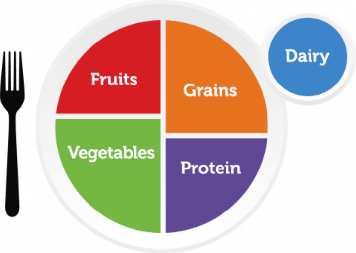 Modelo MyPlate, desenhado pela primeira administração de Obama.