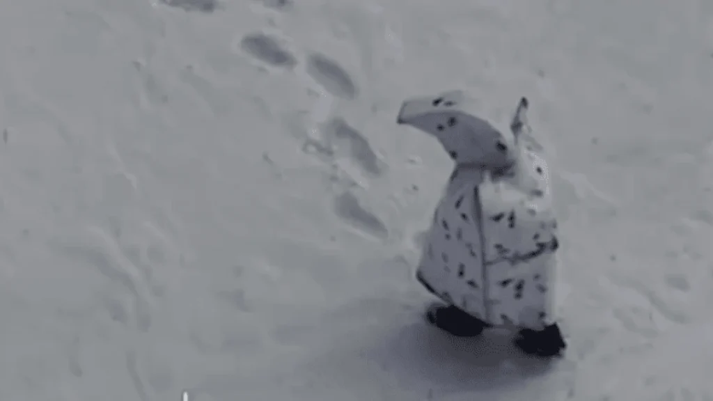 Camuflado “Pinguim” dos soldados da Rússia falha na Ucrânia e tornam-se alvos fáceis