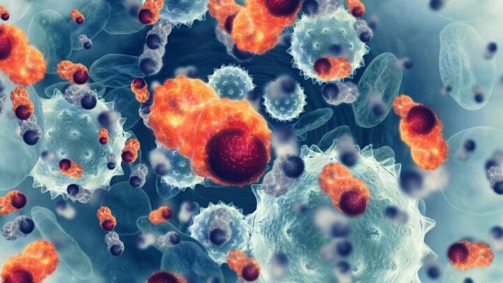 Tratamento universal para o cancro? Nova nanopartícula pode ser a chave