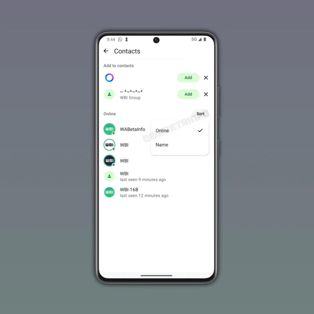 WhatsApp online privacidade