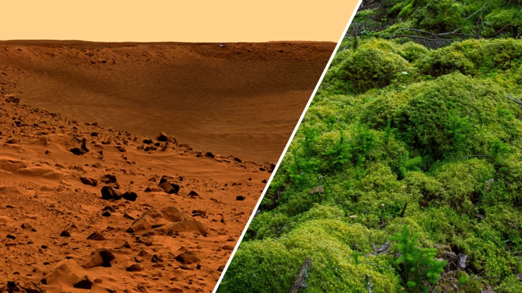 ISS foi coberta com musgo e percebeu-se que a possibilidade de “terraformar” Marte existe
