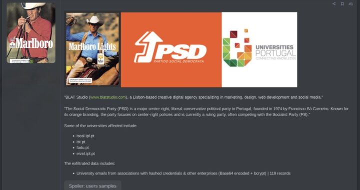 Portugal: Exposição de Dados de Universidades e Entidades Políticas 