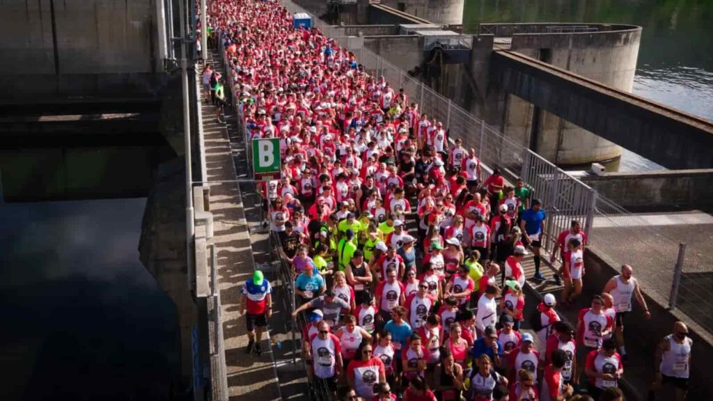 Atletas, temos 3 vouchers para a Meia Maratona do Douro Vinhateiro!
