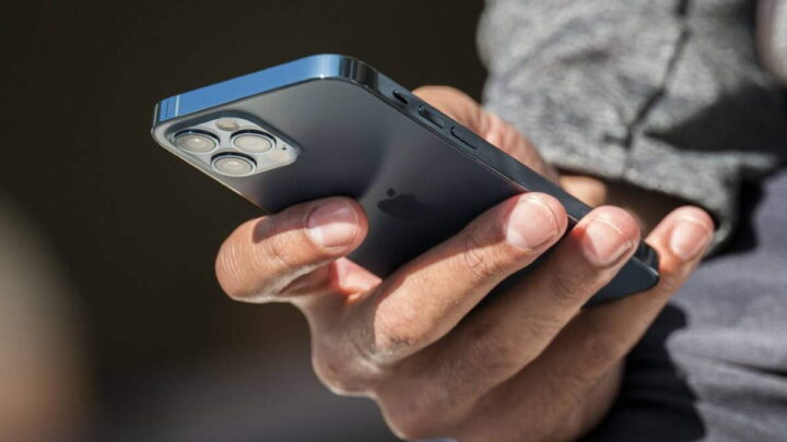 iPhone estudos natalidade nascimentos