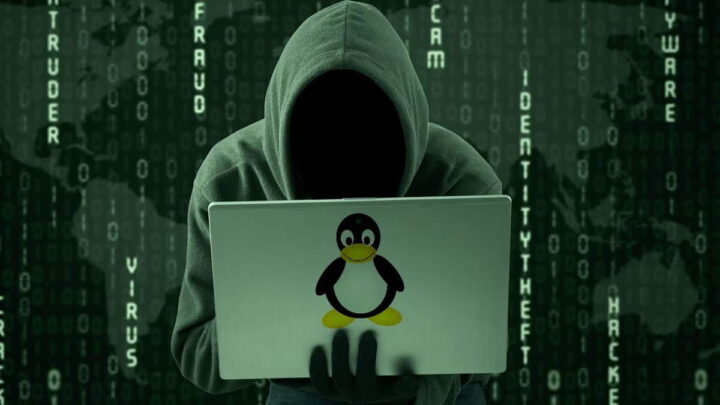 Linux IA segurança falhas