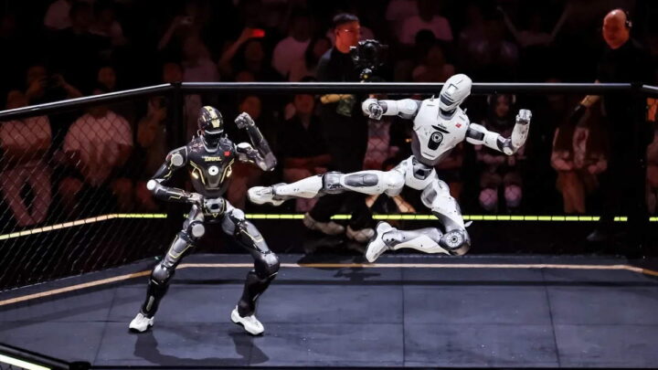 robôs humanoides combate