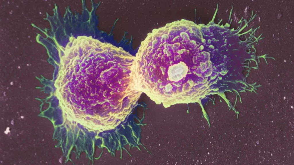 Cientistas desenvolvem “quimioterapia programável” para destruir ADN do tumor