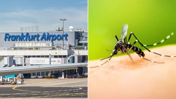 Ilustração de Malária no Aeroporto de Frankfurt