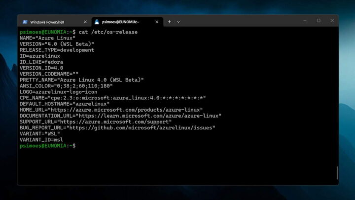 Linux Azure Windows 11 Microsoft