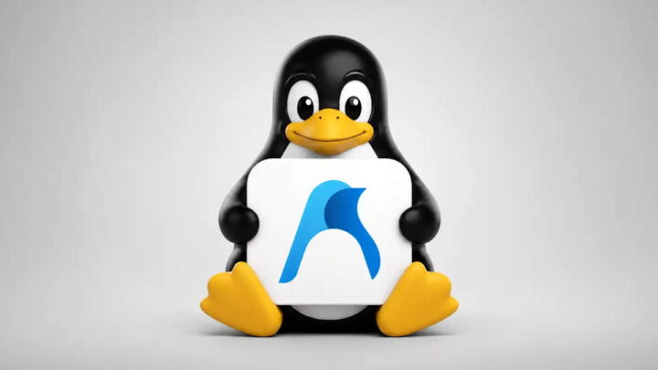Linux Azure Windows 11 Microsoft