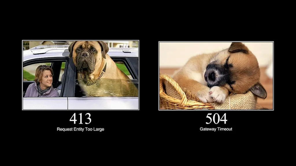 HTTP Status Dogs: este site explica os códigos HTTP com fotografias de cães