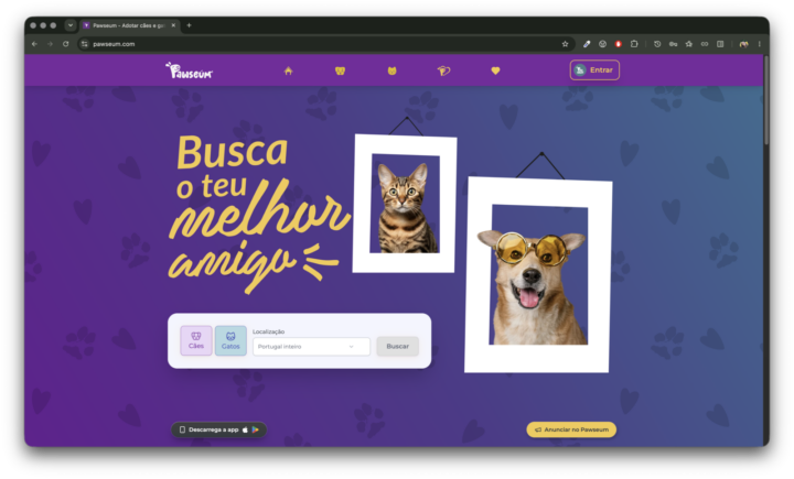 App portuguesa para adotar animais é um "museu digital de patudos" à moda do Tinder