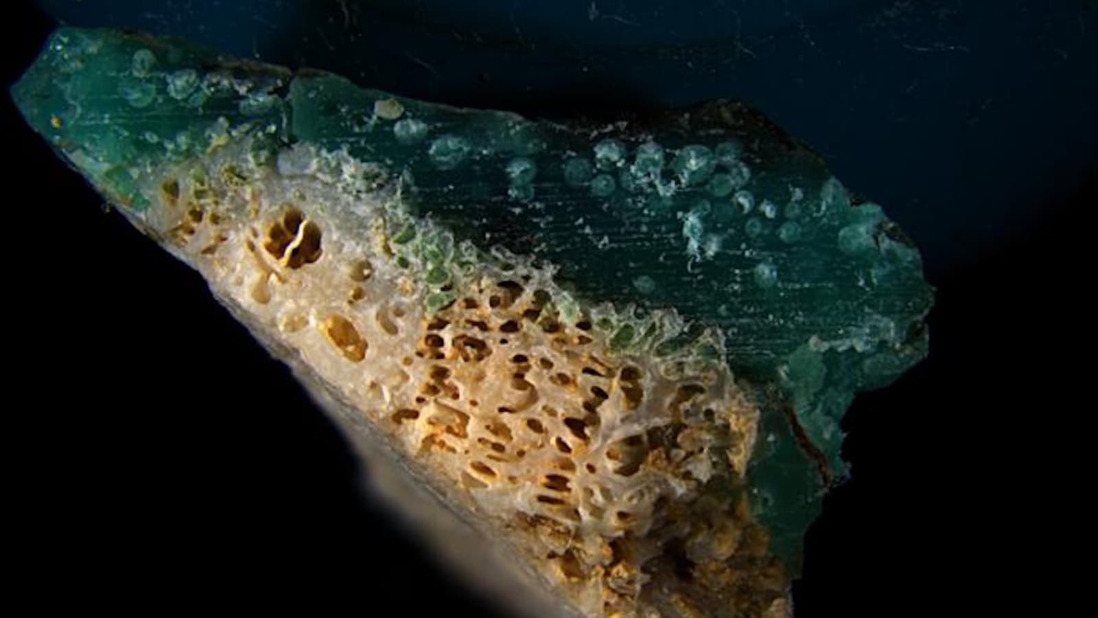 Cientistas descobriram um novo tipo de poluição: “plasticoral”
