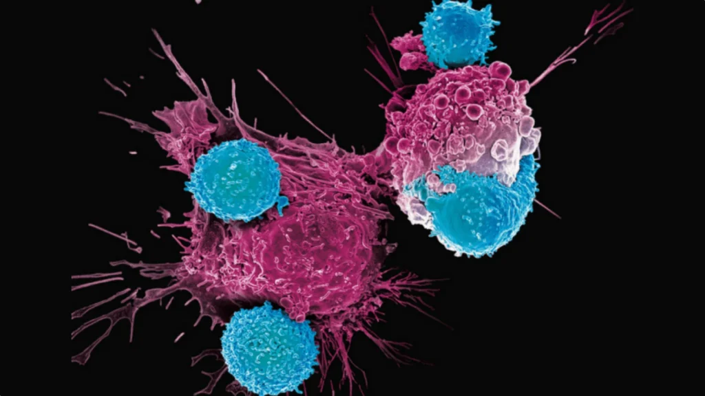 CAR-T: a guerra contra o cancro mudou, cientistas criam células que caçam tumores