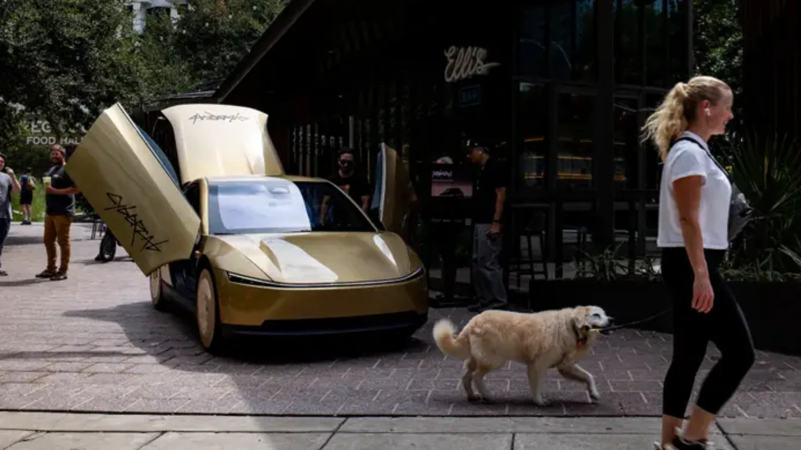Elon Musk admite que os robotáxis da Tesla têm dificuldade em ver animais à noite